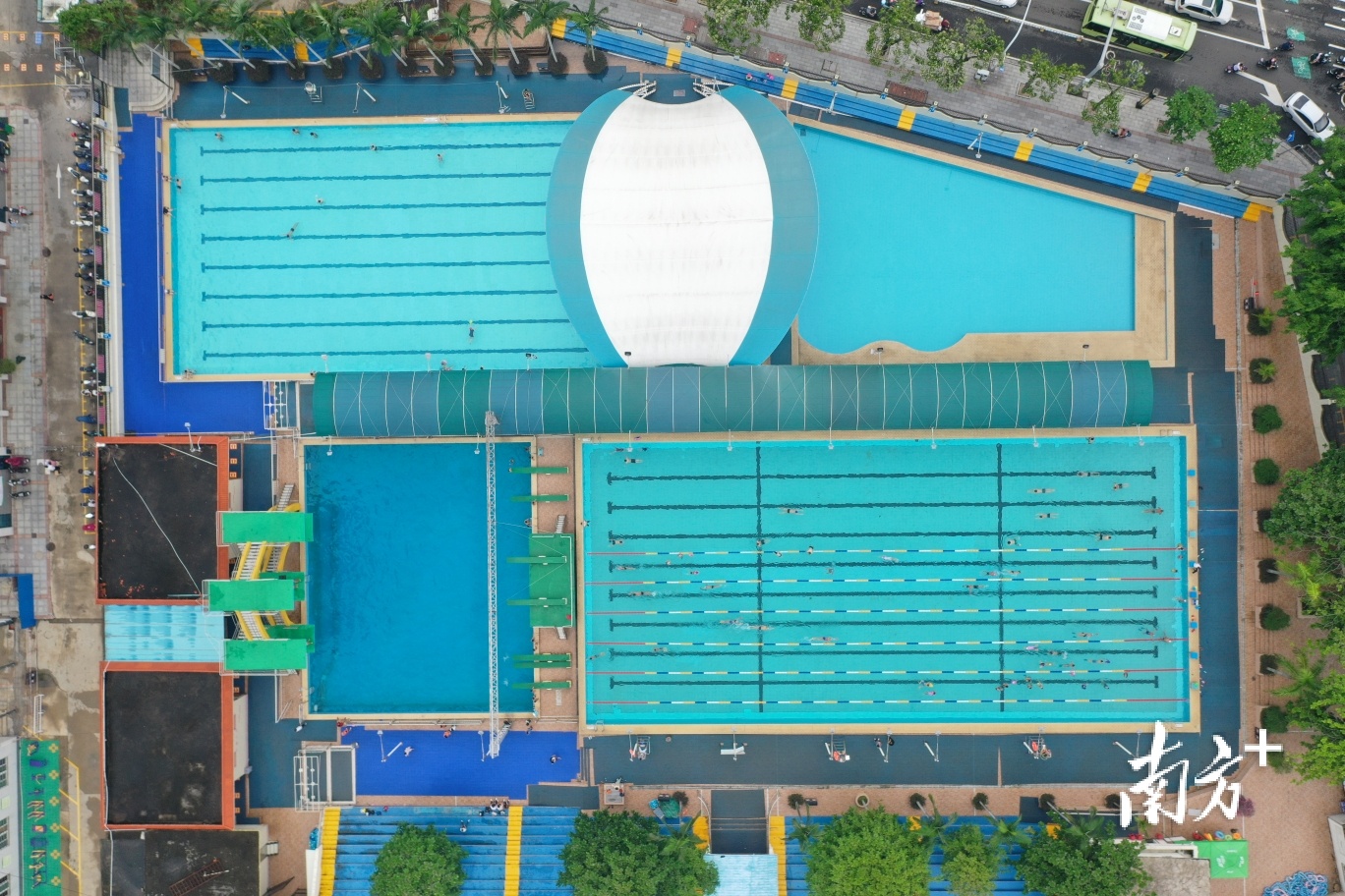 哪里有学跳水的地方（赤坎业余体校走出8名世界冠军）-华海博客