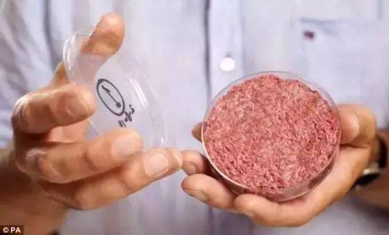 鄙视人造肉！美国三明治公司竟然推出“肉制蔬菜”，这是要和素食主义者打起来啊…