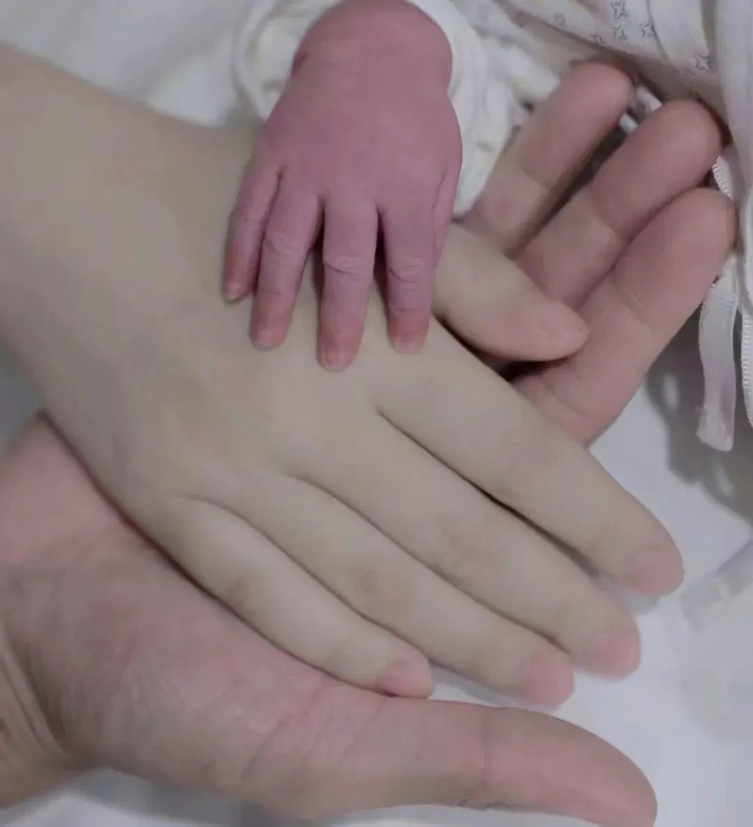 甜到齁！高颜值“明星夫妇”独家怀孕生娃实录