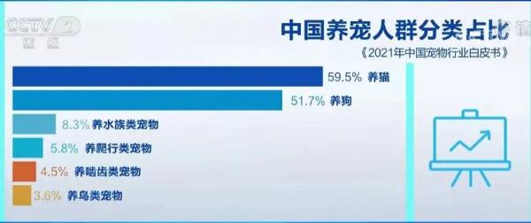 我国养猫人群数超过养狗人群，已超网友：猫派大胜利