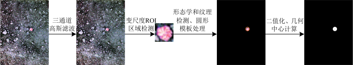 基于机器视觉系统的白芦笋芽定位算法与采收路径优化