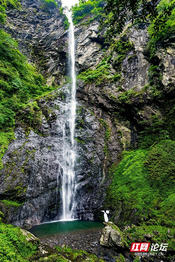 夏日炎炎何处去？陶醉在炎陵九曲水瀑布群