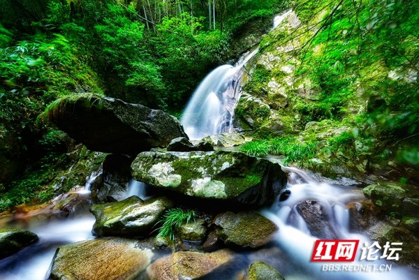 夏日炎炎何处去？陶醉在炎陵九曲水瀑布群