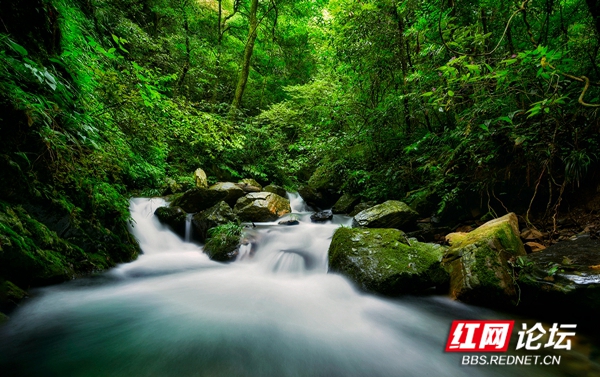 夏日炎炎何处去？陶醉在炎陵九曲水瀑布群