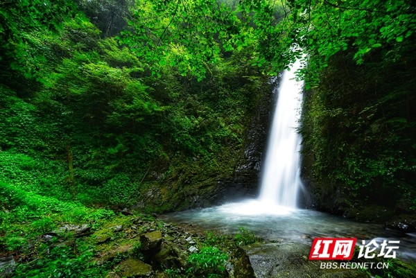 夏日炎炎何处去？陶醉在炎陵九曲水瀑布群