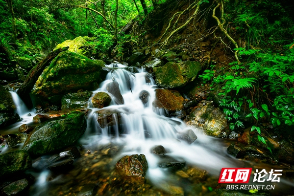 夏日炎炎何处去？陶醉在炎陵九曲水瀑布群