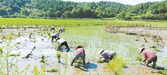 儿童足球表演动作视频(我市少年儿童足球锦标赛开赛)