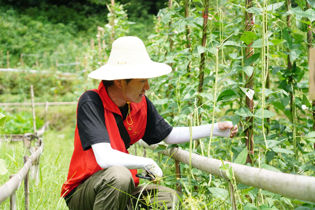 刚刚！江西一学校最新发布