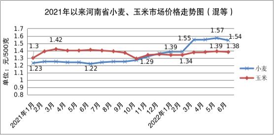 郑州今日蔬菜批发价格（郑州今日蔬菜批发市场价格表）