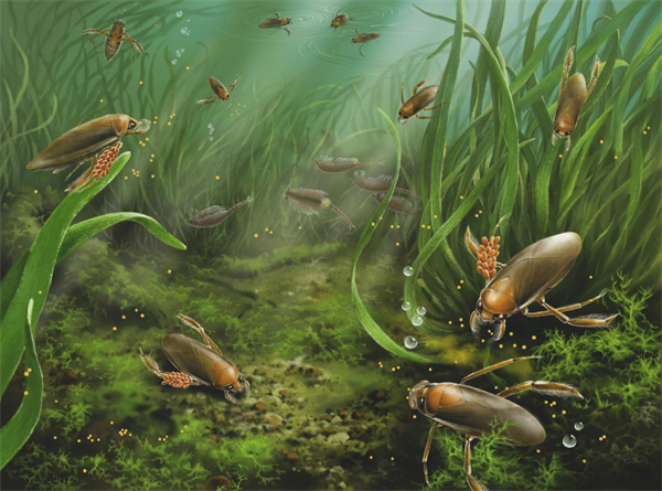 带着卵行走！一亿多年前，昆虫动物已有“母爱”