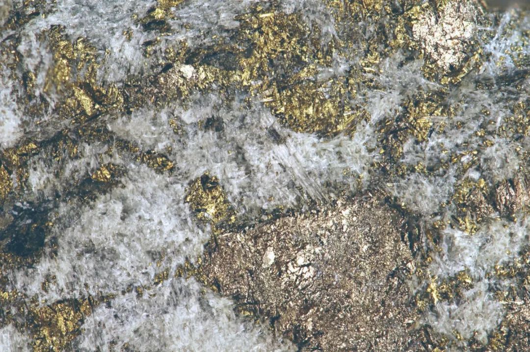 “寻死”的科学家改变了世界