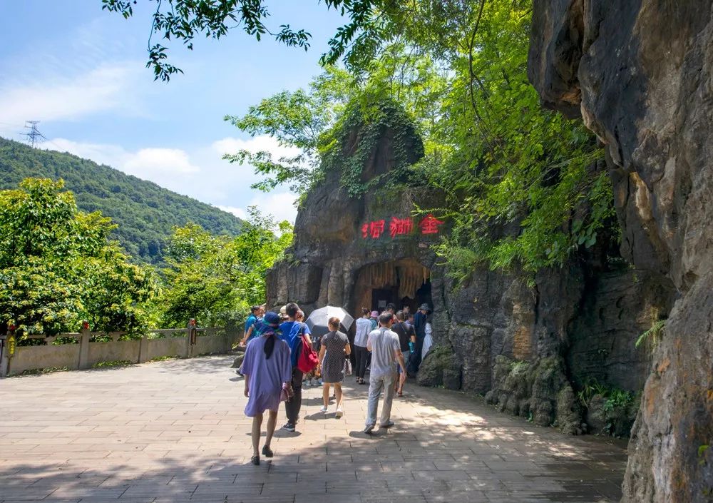 五宫福地好彩来代表什么生肖（五门福临天机彩猜什么生肖）-第6张图片-昕阳网