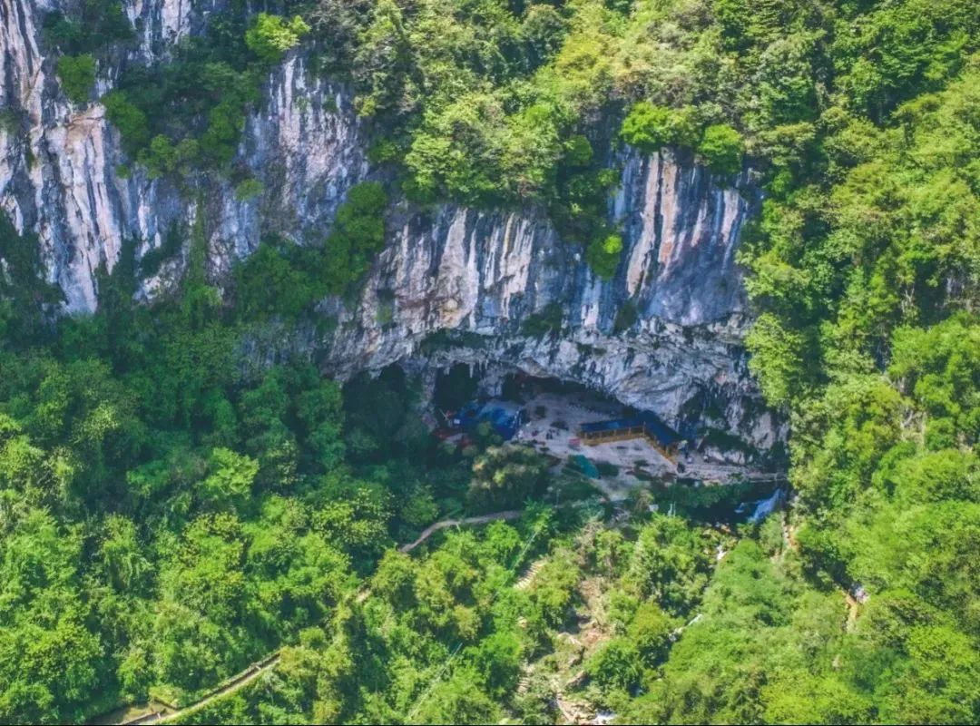 五宫福地好彩来代表什么生肖（五门福临天机彩猜什么生肖）-第27张图片-昕阳网