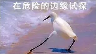 我们最想看的，是《夏娃》和《安娜》女主互掐……