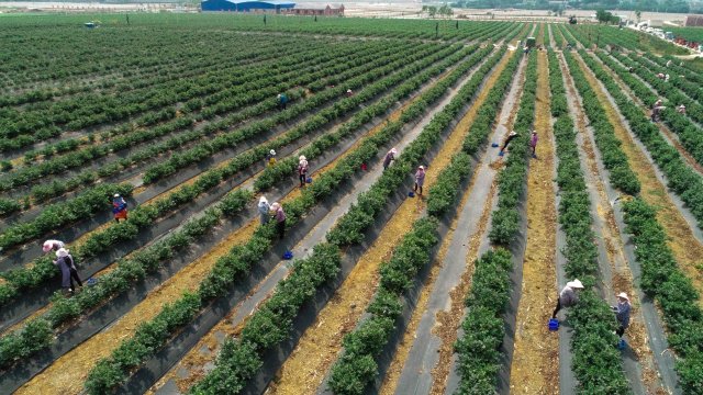 昆明马龙县有多少人口（曲靖这十年）