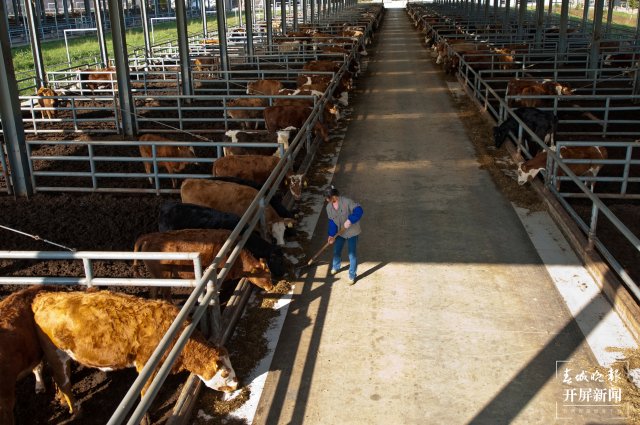 昆明马龙县有多少人口（曲靖这十年）