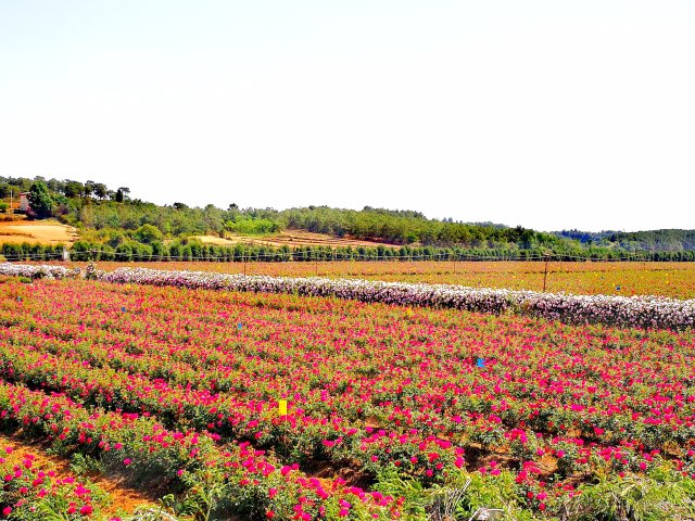 昆明马龙县有多少人口（曲靖这十年）