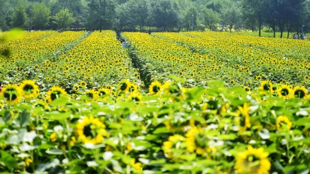 昆明马龙县有多少人口（曲靖这十年）
