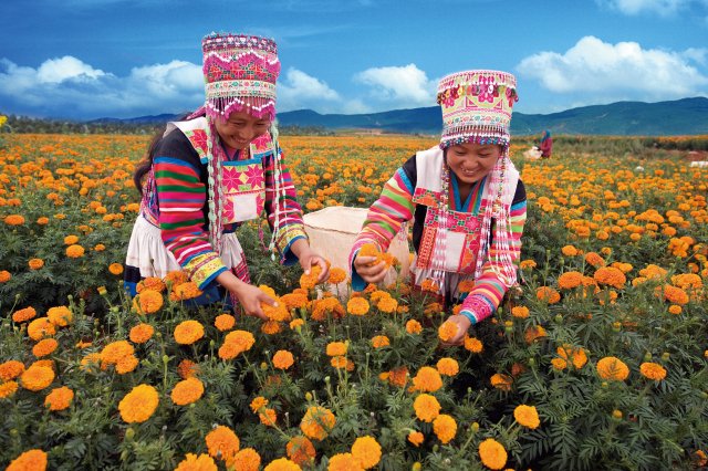 昆明马龙县有多少人口（曲靖这十年）