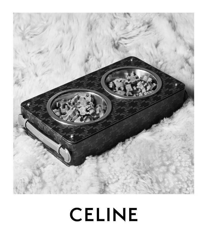 从Gucci猫窝到Celine狗粮碗，奢侈品牌闯入宠物世界？