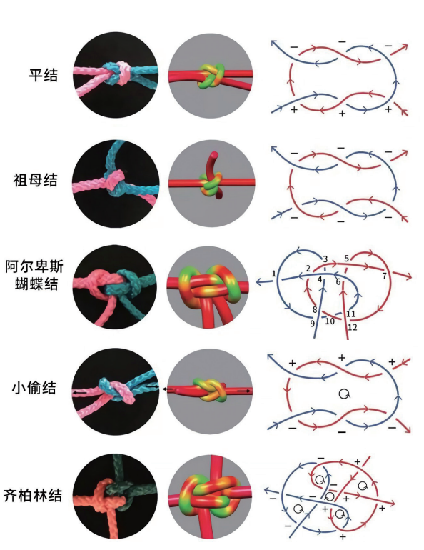 为何绑了结的绳子比未绑结的强度更大？