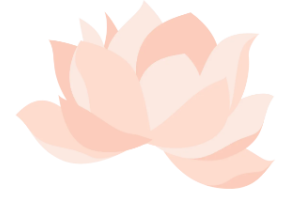 ½˿֮·-14ͼƬ-Ѷ