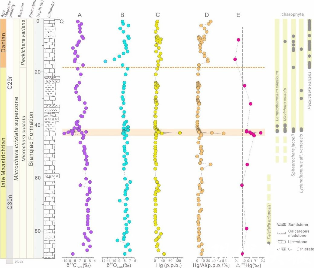 火山喷发还是陨石撞击？6600万年前的那场生物大灭绝，“主犯”可能是……