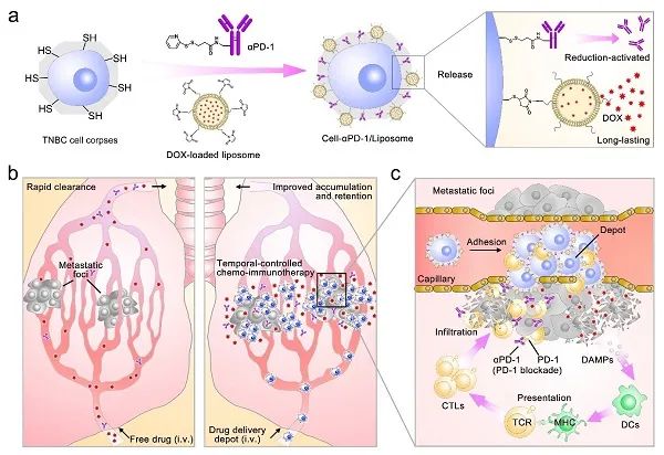 “问海1号”6000米级自主遥控水下机器人正式交付；5G无线数据传输方面获进展；青藏高原沼泽湿地固碳研究取得进展