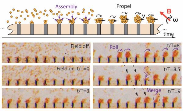 最新人工微管可助微纳米机器人“逆流而上”