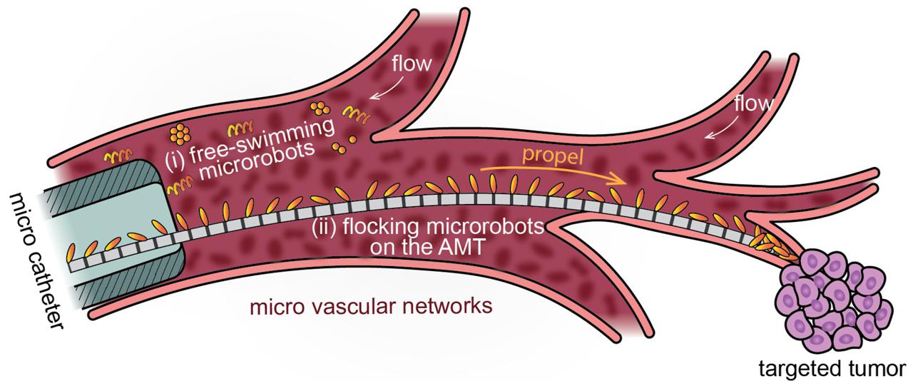 最新人工微管可助微纳米机器人“逆流而上”