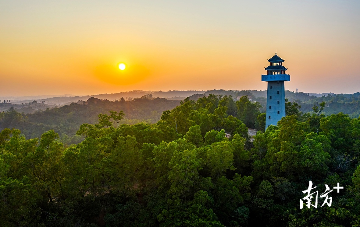 湛江有哪些公园在什么地方好玩的地方（湛江8个避暑景点）