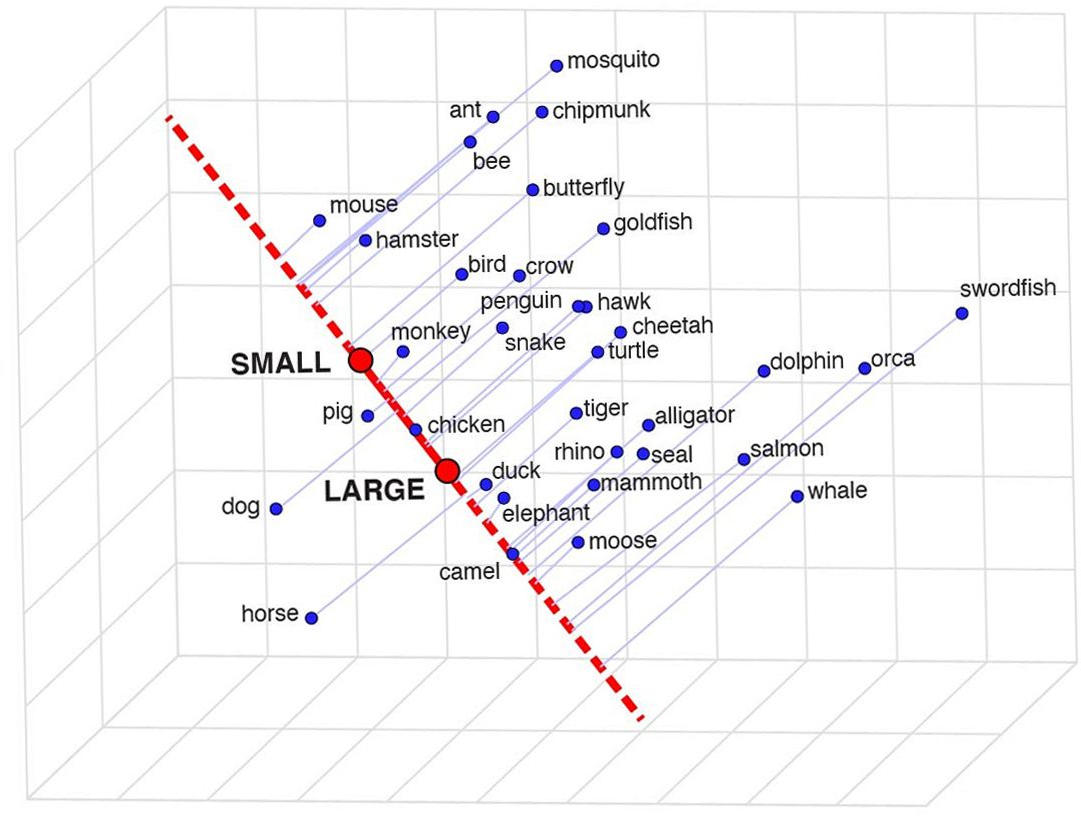 MIT科学家发现计算机可以理解复杂的词汇和概念