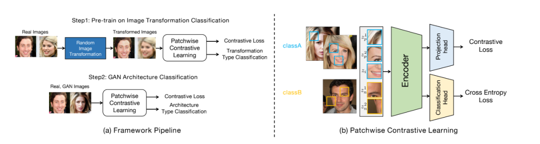 AAAI 2022 | GAN的结构有“指纹”吗？从伪造图像溯源生成网络结构