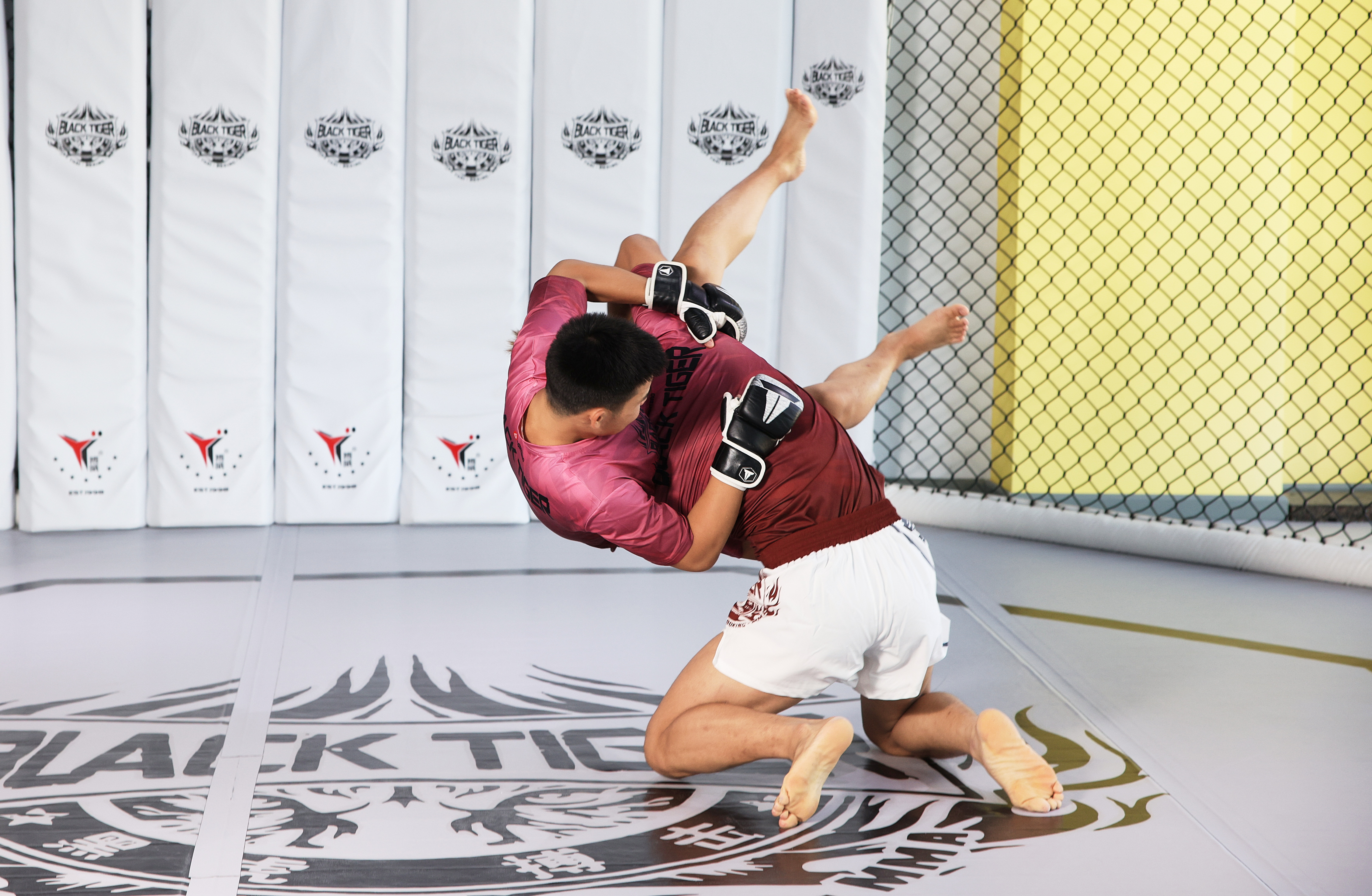 奥运会五个项目有哪些(职业选手实战示范,一文看懂综合格斗五大常用