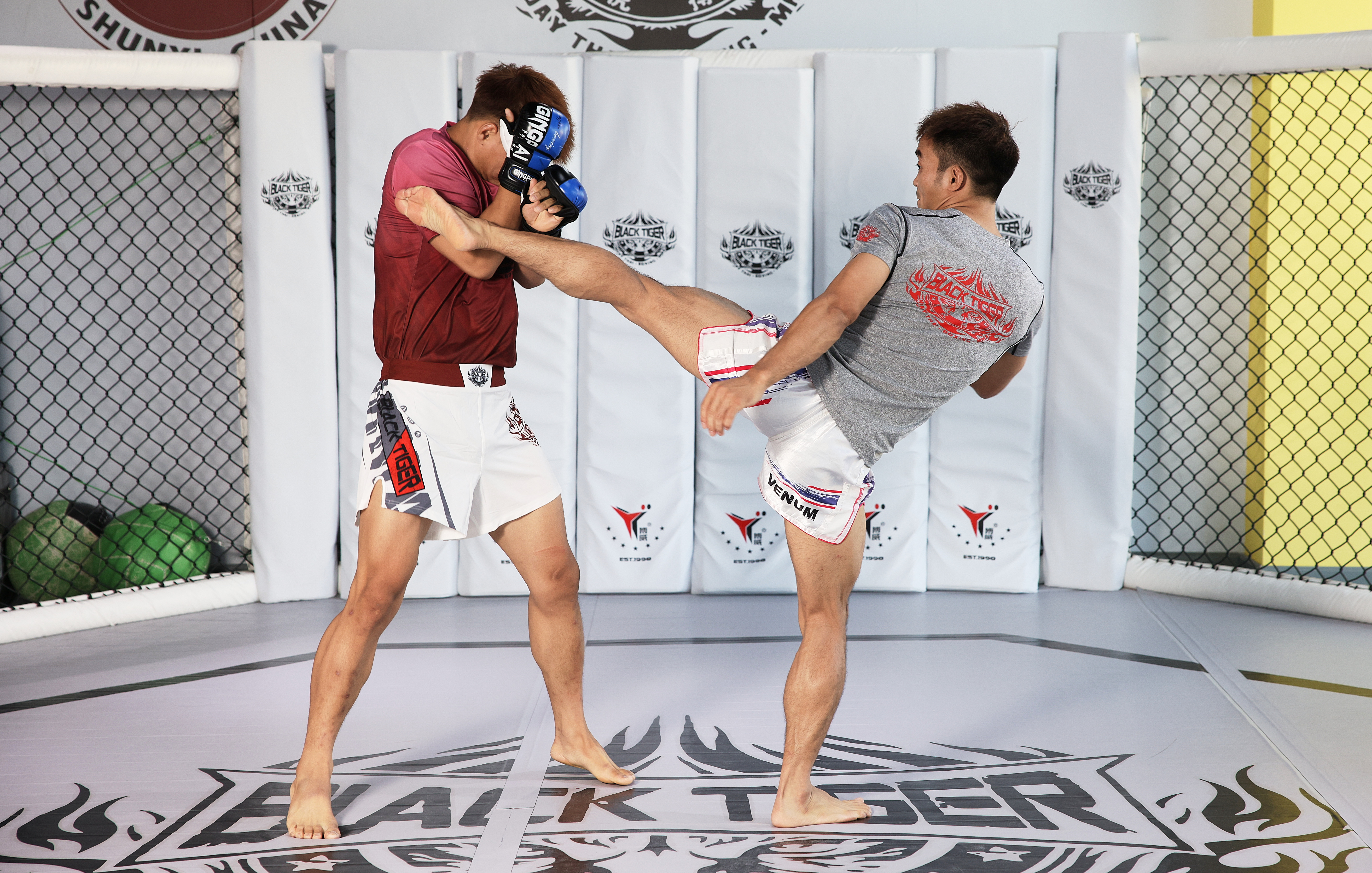 奥运会五个项目有哪些(职业选手实战示范,一文看懂综合格斗五大常用