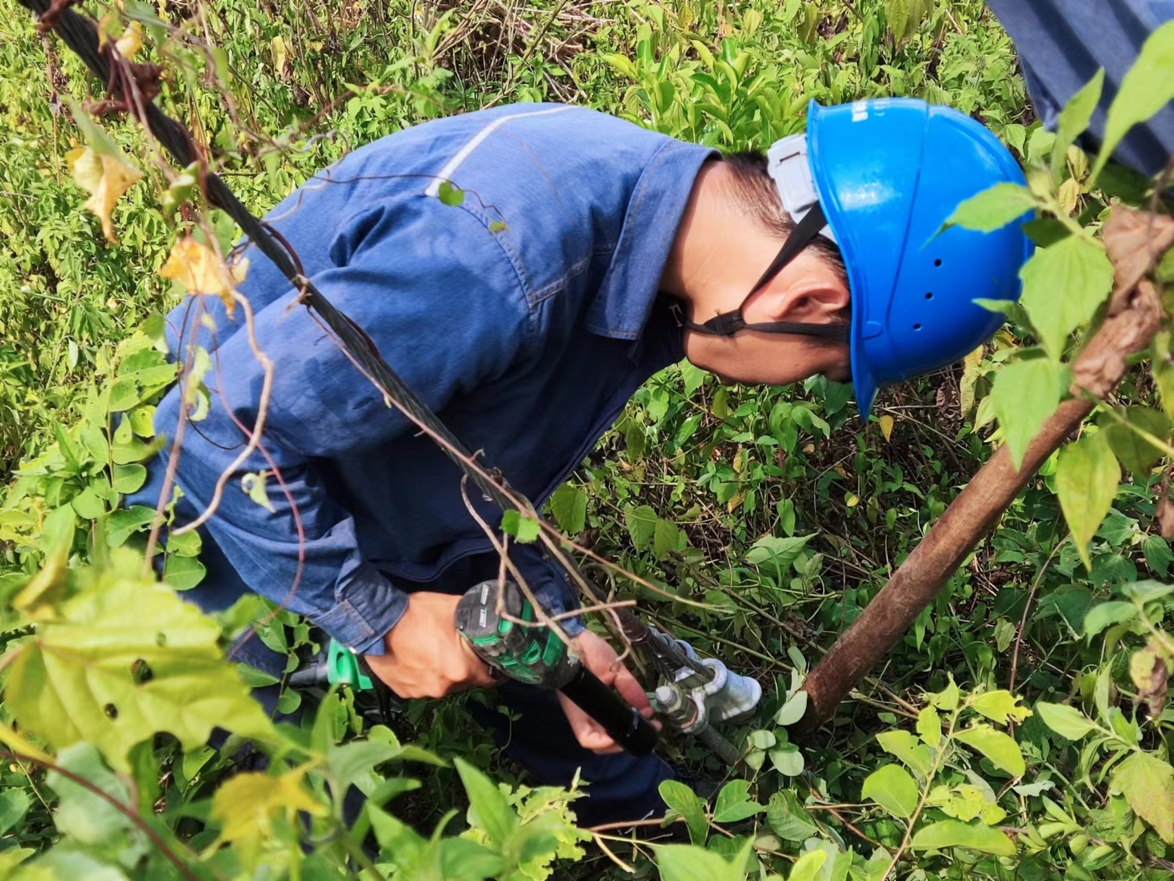 湛江羽毛球拍哪里拉线(高温下的“烤验”与坚守！湛江吴川供电局力战“三伏”保供电)