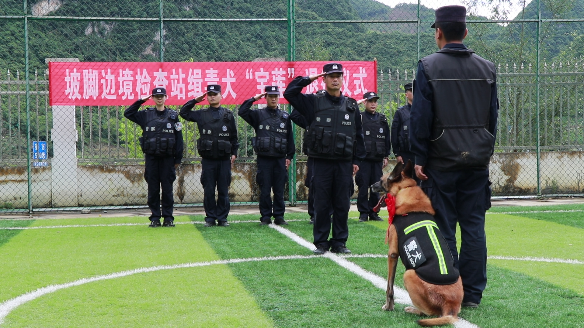 2014年6月31日世界杯(戍边8年的缉毒犬“拒绝”退役，驯导员：战友，我们陪你终老)