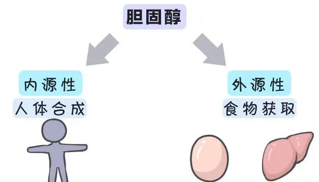 胆固醇偏高对身体有什么影响 总胆固醇6.37怎么办(图3)