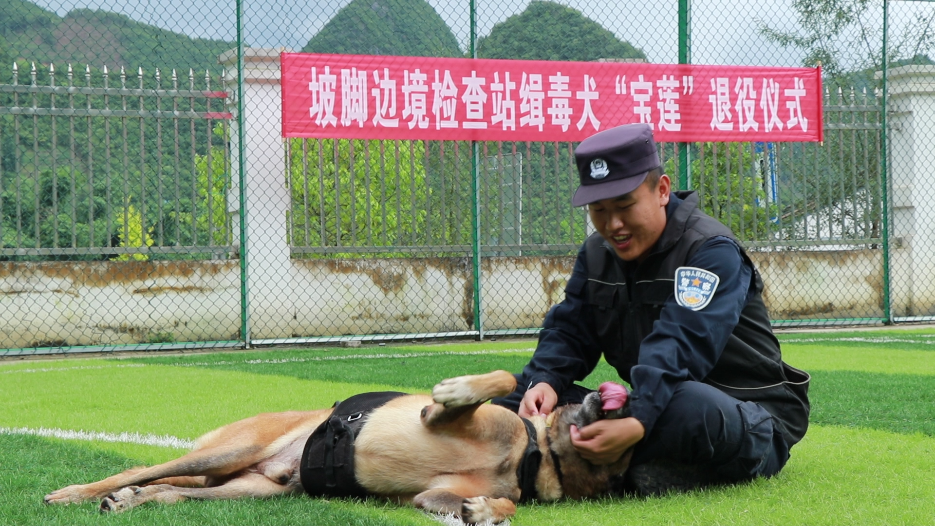 2014年6月31日世界杯(戍边8年的缉毒犬“拒绝”退役，驯导员：战友，我们陪你终老)