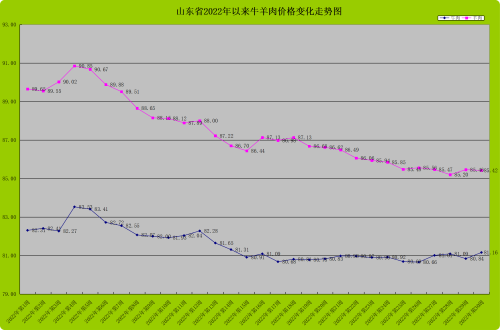 今日山东绵羊价格行情（今日山东玉米价格）