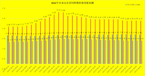 今日山东绵羊价格行情（今日山东玉米价格）