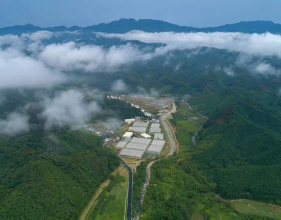 广东：走好高质量发展之路 南粤大地谱写崭新篇章