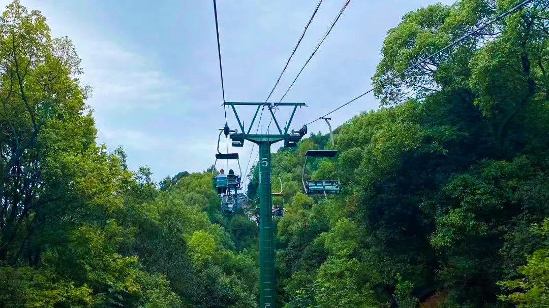 湖南长沙旅游景点（湖南长沙旅游景点排名前十名）-第43张图片-大连信息网