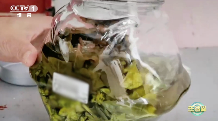 蚊子咬了怎么消肿止痒最快（蚊子叮的包又大又痒？别挠！试试这2个穴位快速止痒）