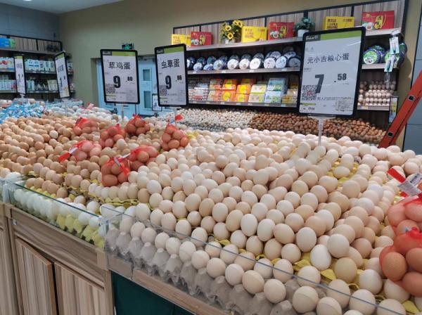 合肥鸡蛋今日最新价格「鸡蛋今日最新价格」