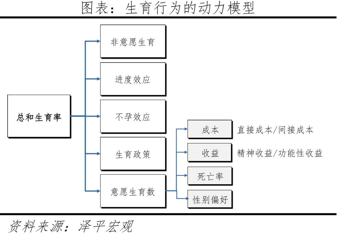 2022年最新计划生育政策法规（2022年最新计划生育政策法规解读）-第13张图片-昕阳网