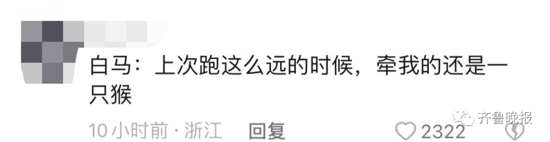 法国赢得世界杯冠军球员回国庆祝(小伙从欧洲骑马回中国老家刷屏！网友：​上一次主角还是唐僧)