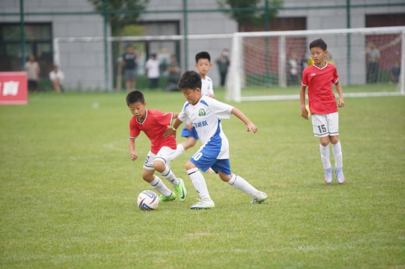 北京市足球运动协会(北京市市级社会足球活动 少年足球冠军联赛顺利闭幕)