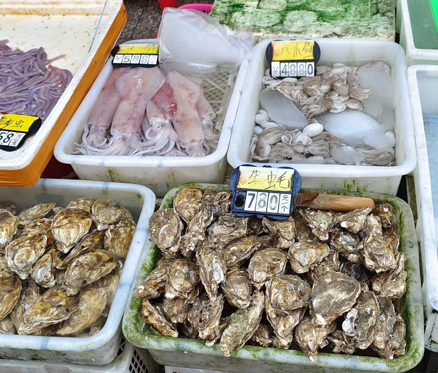今日广东水产虾价格，今日湛江水产市场虾报价