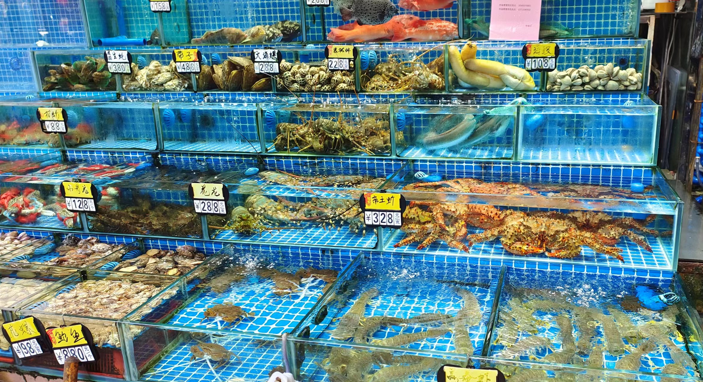 广州黄沙水产市场实行商品计量不足先行赔偿机制,守护市民"菜篮子"